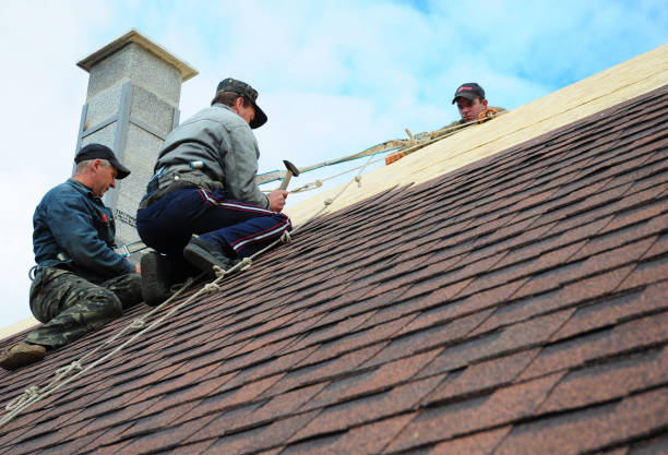 Best New Roof Installation  in West Canton, NC
